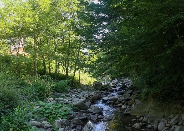 Oasi Lignana Tuscan Borgo In Exclusive Use * Pescia