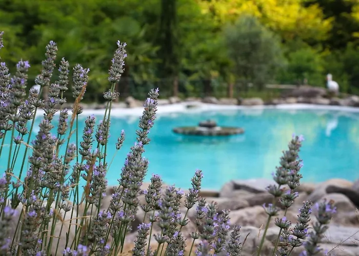 Oasi Lignana Tuscan Borgo In Exclusive Use