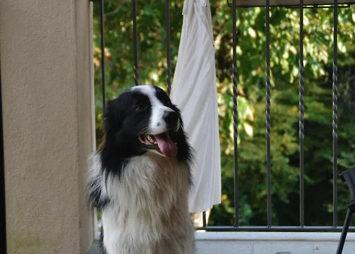 Oasi Lignana Tuscan Borgo In Exclusive Use Dom wakacyjny