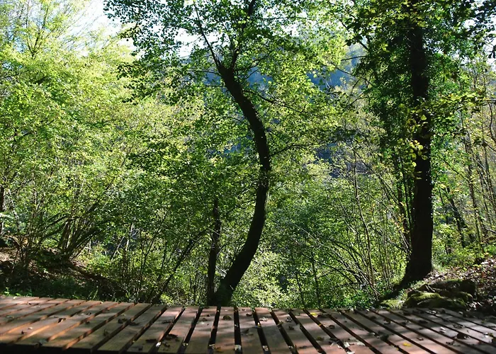 Oasi Lignana Tuscan Borgo In Exclusive Use Pescia