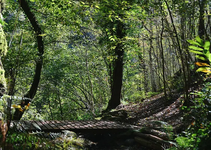 Oasi Lignana Tuscan Borgo In Exclusive Use Pescia