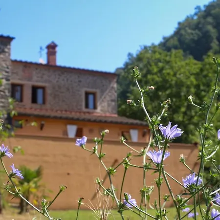 بيت للعطل Oasi Lignana Borgo For Exclusive Use *