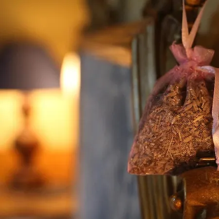 Oasi Lignana Borgo For Exclusive Use
